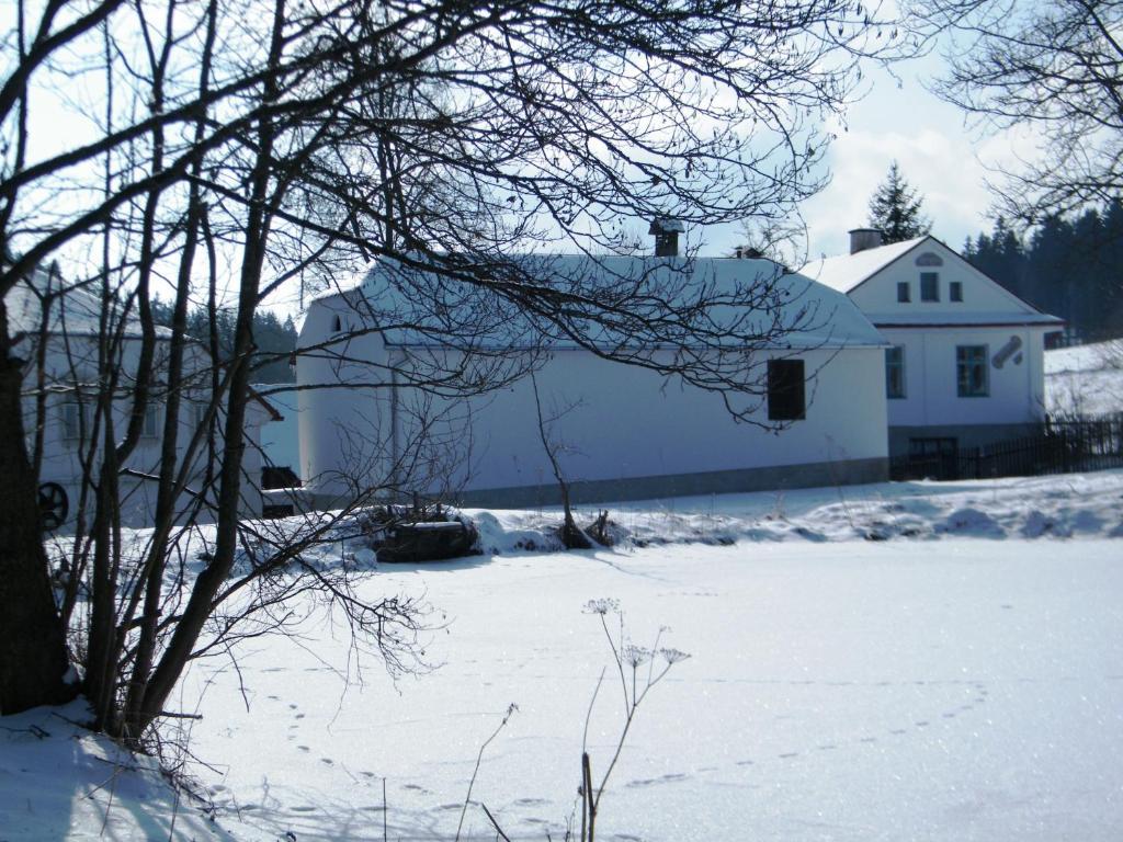 Rainmuehle Villa Mariánské Lázně Exterior foto
