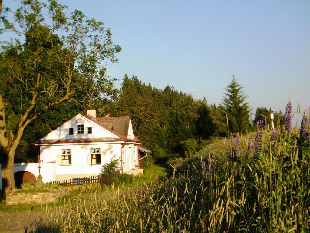 Rainmuehle Villa Mariánské Lázně Exterior foto